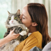 Allergia al gatto: conosciamo il problema e impariamo a gestirlo al meglio